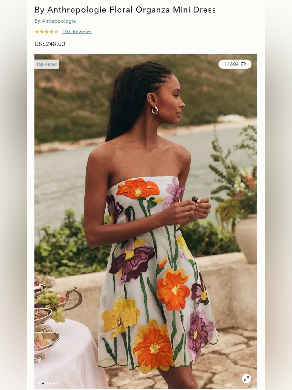 NWT Size S - By Anthropologie Floral Organza Mini Dress (US$ 248) - Picture 16 of 16